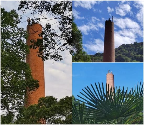 煙囪拆除公司:安全至上,服務(wù)至誠